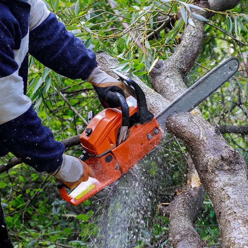 Martin Tree Service LLC team equipment and completed outdoor service work